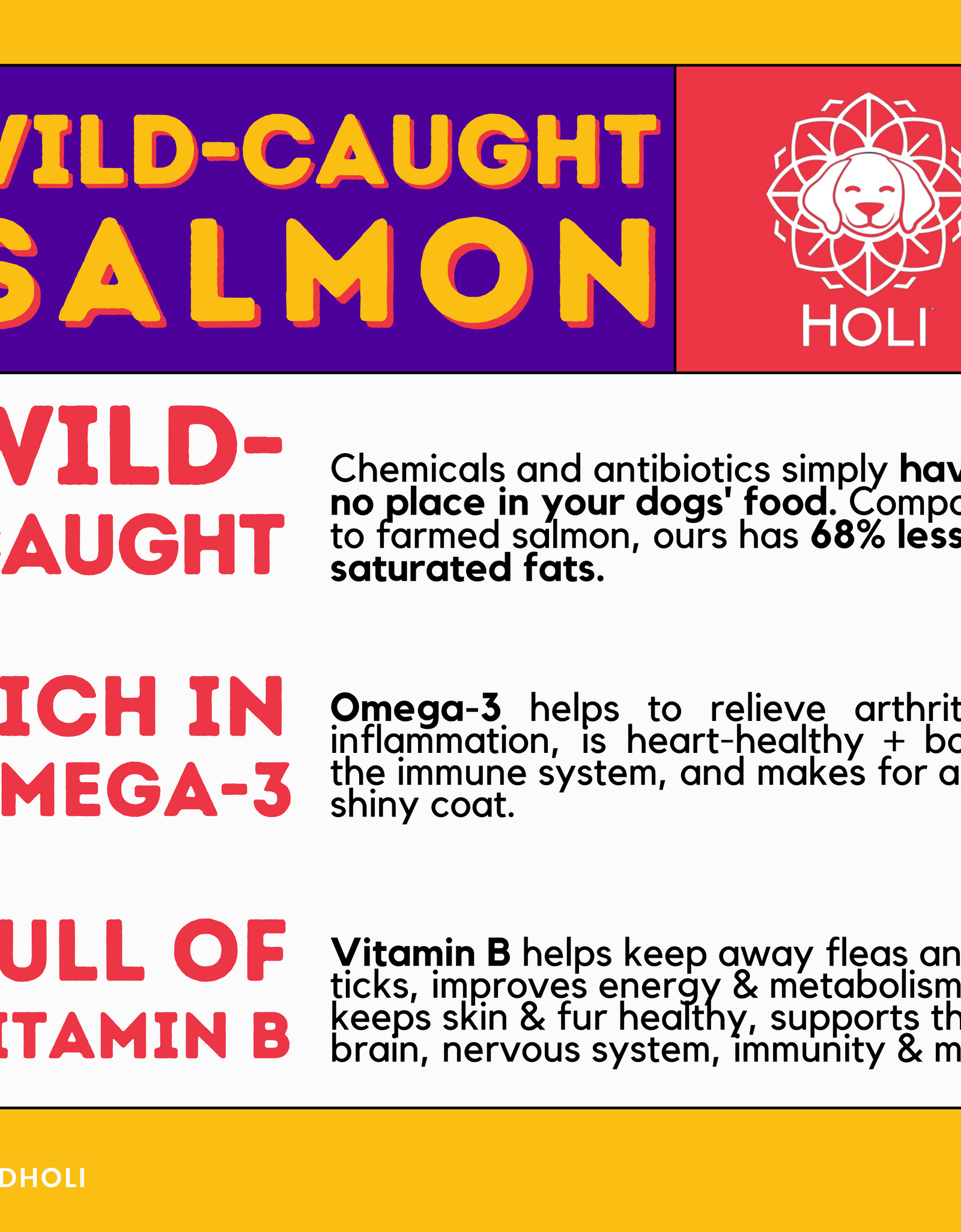 Wild Caught Salmon Dog Food Topper by HOLI