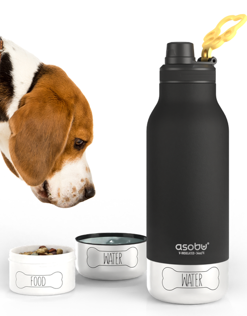 Load image into Gallery viewer, Black Buddy Bottle by ASOBU®
