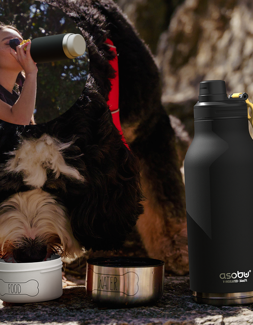 Load image into Gallery viewer, Black Buddy Bottle by ASOBU®
