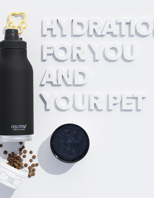 Load image into Gallery viewer, Black Buddy Bottle by ASOBU®
