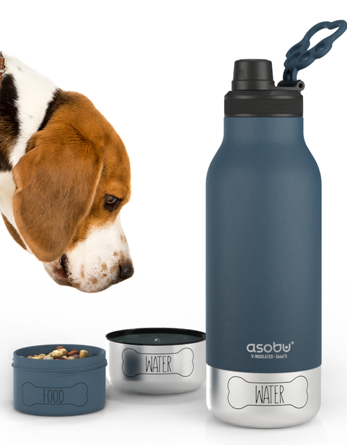 Load image into Gallery viewer, Blue Buddy Bottle by ASOBU®

