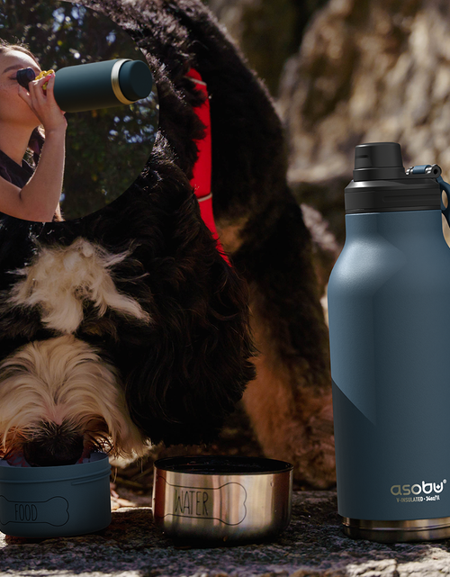 Load image into Gallery viewer, Blue Buddy Bottle by ASOBU®
