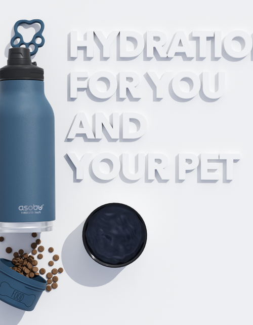 Load image into Gallery viewer, Blue Buddy Bottle by ASOBU®
