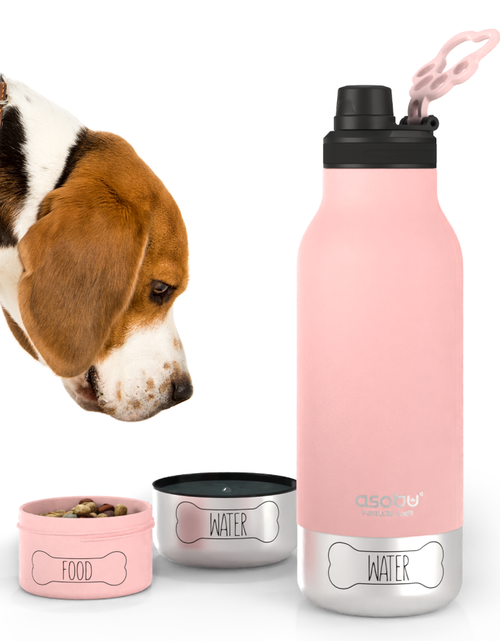Load image into Gallery viewer, Pink Buddy Bottle by ASOBU®
