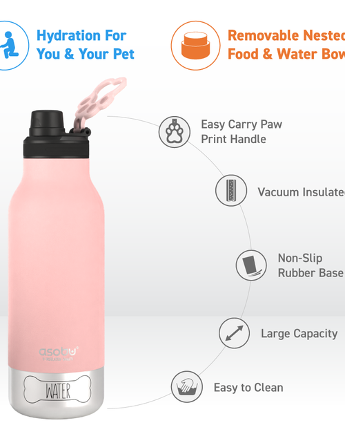 Load image into Gallery viewer, Pink Buddy Bottle by ASOBU®
