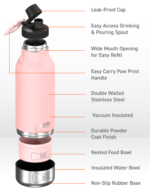 Load image into Gallery viewer, Pink Buddy Bottle by ASOBU®
