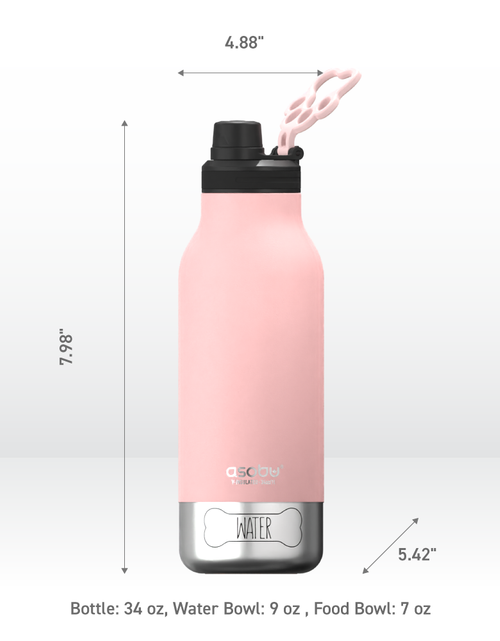 Load image into Gallery viewer, Pink Buddy Bottle by ASOBU®
