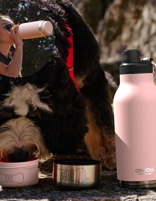 Load image into Gallery viewer, Pink Buddy Bottle by ASOBU®
