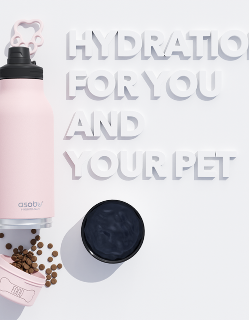 Load image into Gallery viewer, Pink Buddy Bottle by ASOBU®
