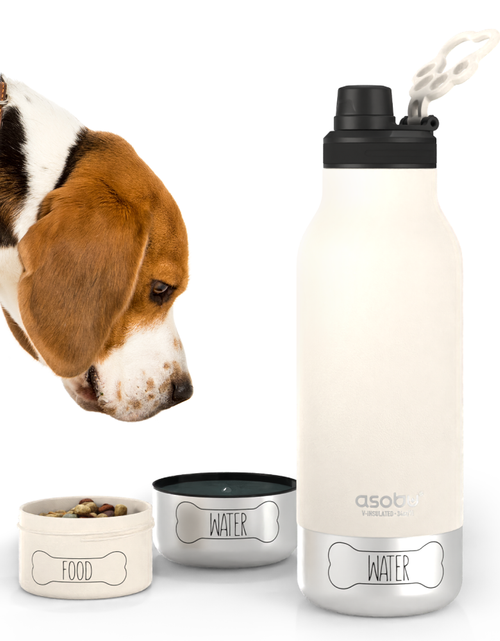 Load image into Gallery viewer, White Buddy Bottle by ASOBU®

