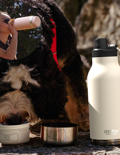 Load image into Gallery viewer, White Buddy Bottle by ASOBU®
