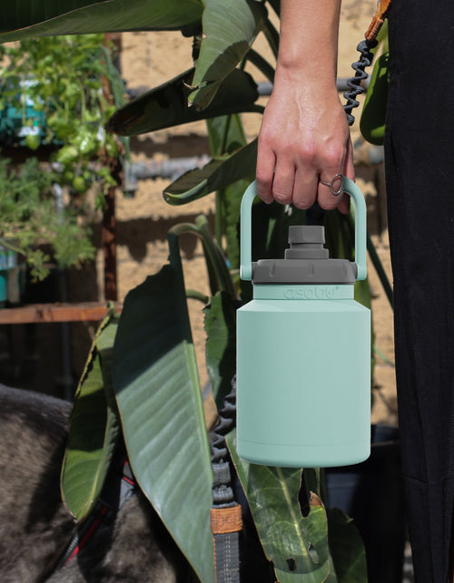 Load image into Gallery viewer, Mint Mini Jug by ASOBU®
