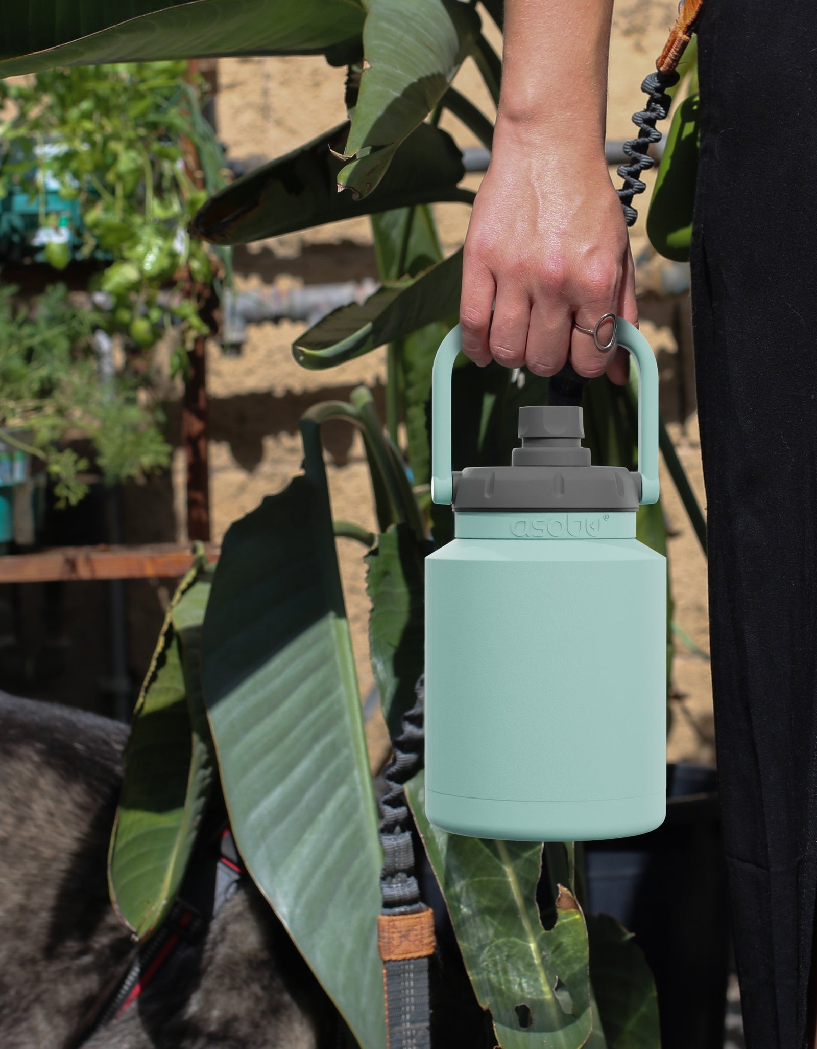 Mint Mini Jug by ASOBU®