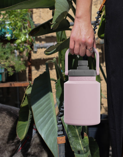 Load image into Gallery viewer, Pink Mini Jug by ASOBU®
