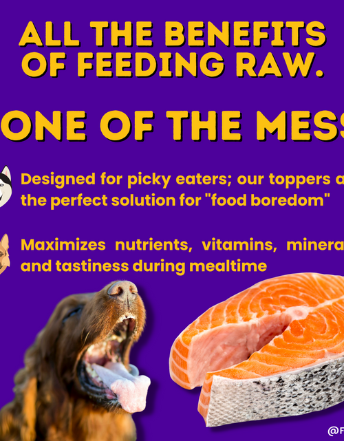 Load image into Gallery viewer, Wild Caught Salmon Dog Food Topper by HOLI
