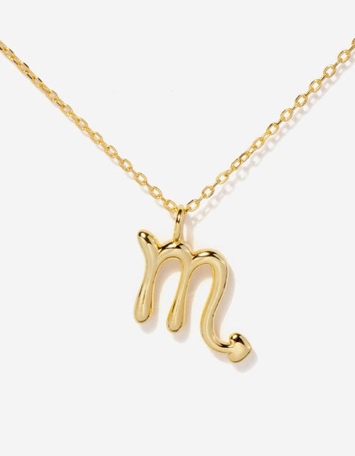 Load image into Gallery viewer, Scorpio Zodiac Necklace by Little Sky Stone
