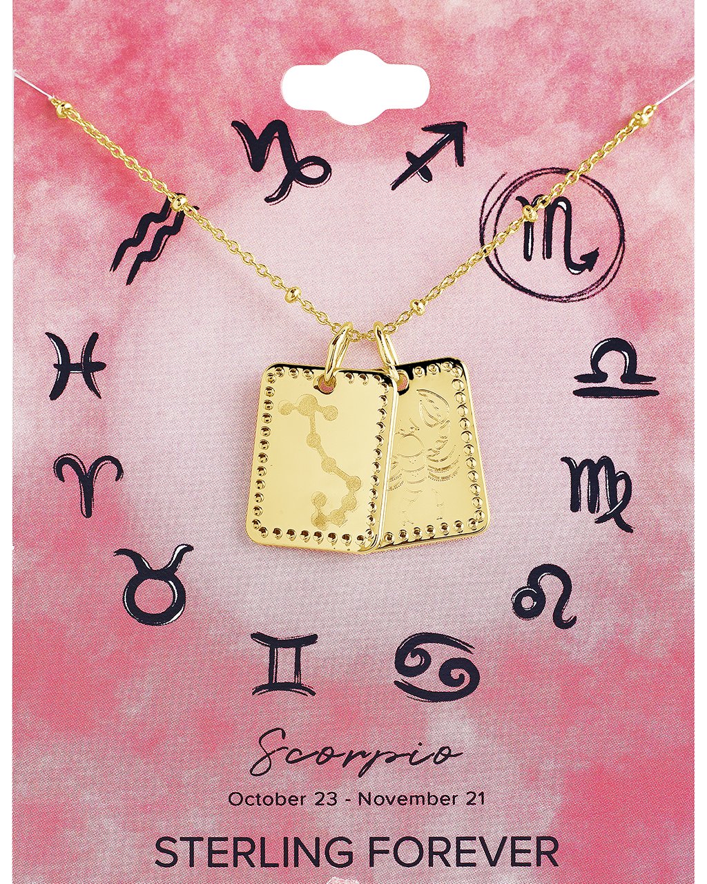Zodiac Tag Necklace by Sterling Forever