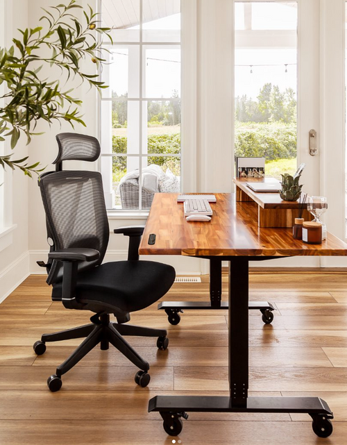 Load image into Gallery viewer, AeryChair Ergonomic Office Chair by EFFYDESK by Level Up Desks
