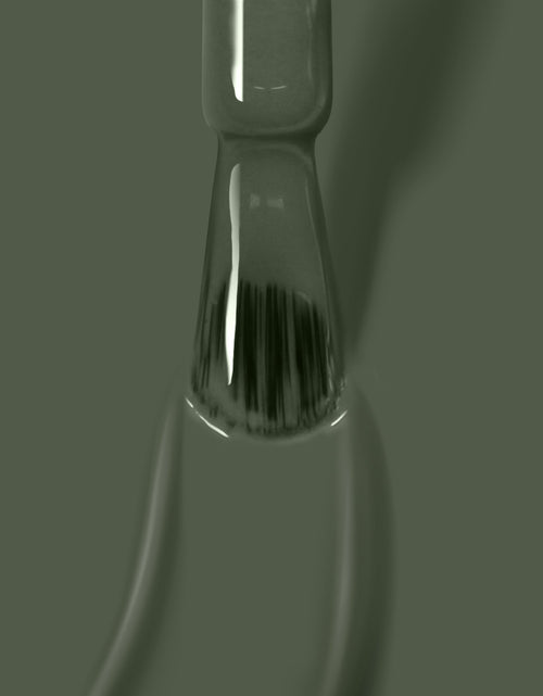 Load image into Gallery viewer, Star Moss by LONDONTOWN
