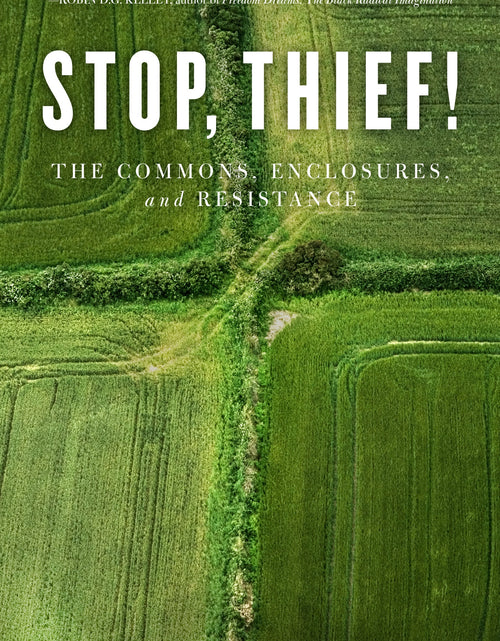 Load image into Gallery viewer, Stop, Thief! - Peter Linebaugh by Working Class History | Shop
