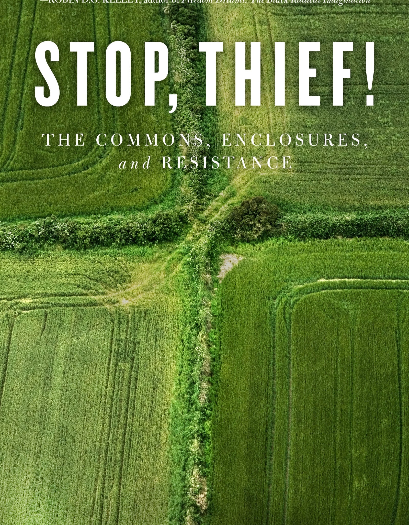 Stop, Thief! - Peter Linebaugh by Working Class History | Shop