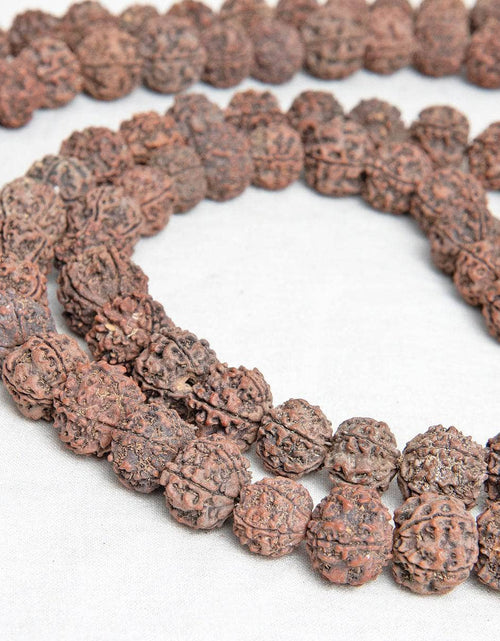 Load image into Gallery viewer, Maha Rudraksha Mala by Tiny Rituals
