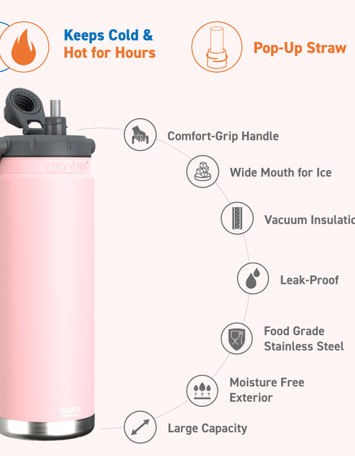 Load image into Gallery viewer, Pink Canyon Jug by ASOBU®
