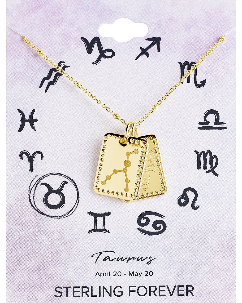 Zodiac Tag Necklace by Sterling Forever