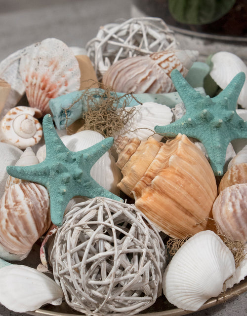Load image into Gallery viewer, Ocean Plumes Potpourri by Andaluca Home
