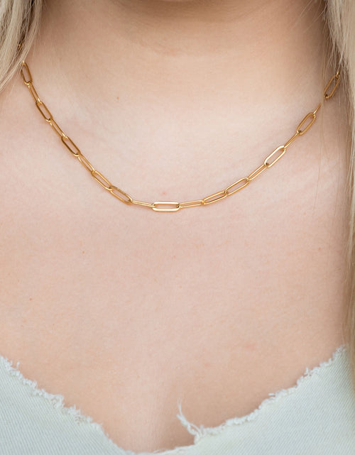 Load image into Gallery viewer, Luxe Silver Paper Clip Chain - 18" by Spiffy &amp; Splendid
