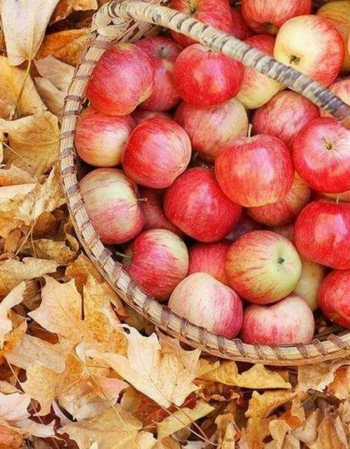 Load image into Gallery viewer, Apple + Oak by Wicked Good Perfume
