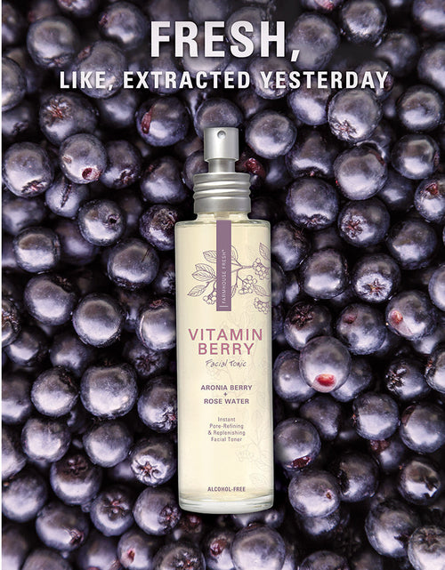 Load image into Gallery viewer, Vitamin Berry by FarmHouse Fresh skincare
