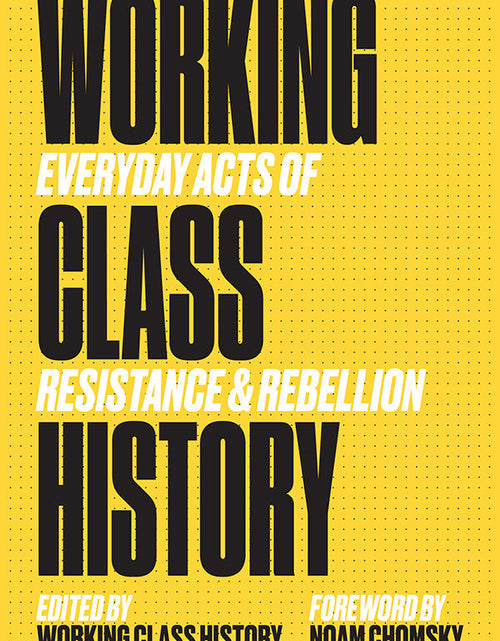 Load image into Gallery viewer, Working Class History: Everyday Acts of Resistance &amp; Rebellion by Working Class History | Shop
