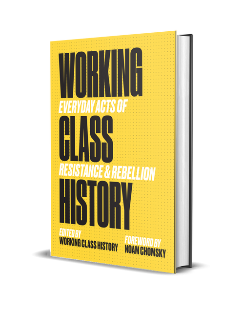 Load image into Gallery viewer, Working Class History: Everyday Acts of Resistance &amp; Rebellion by Working Class History | Shop
