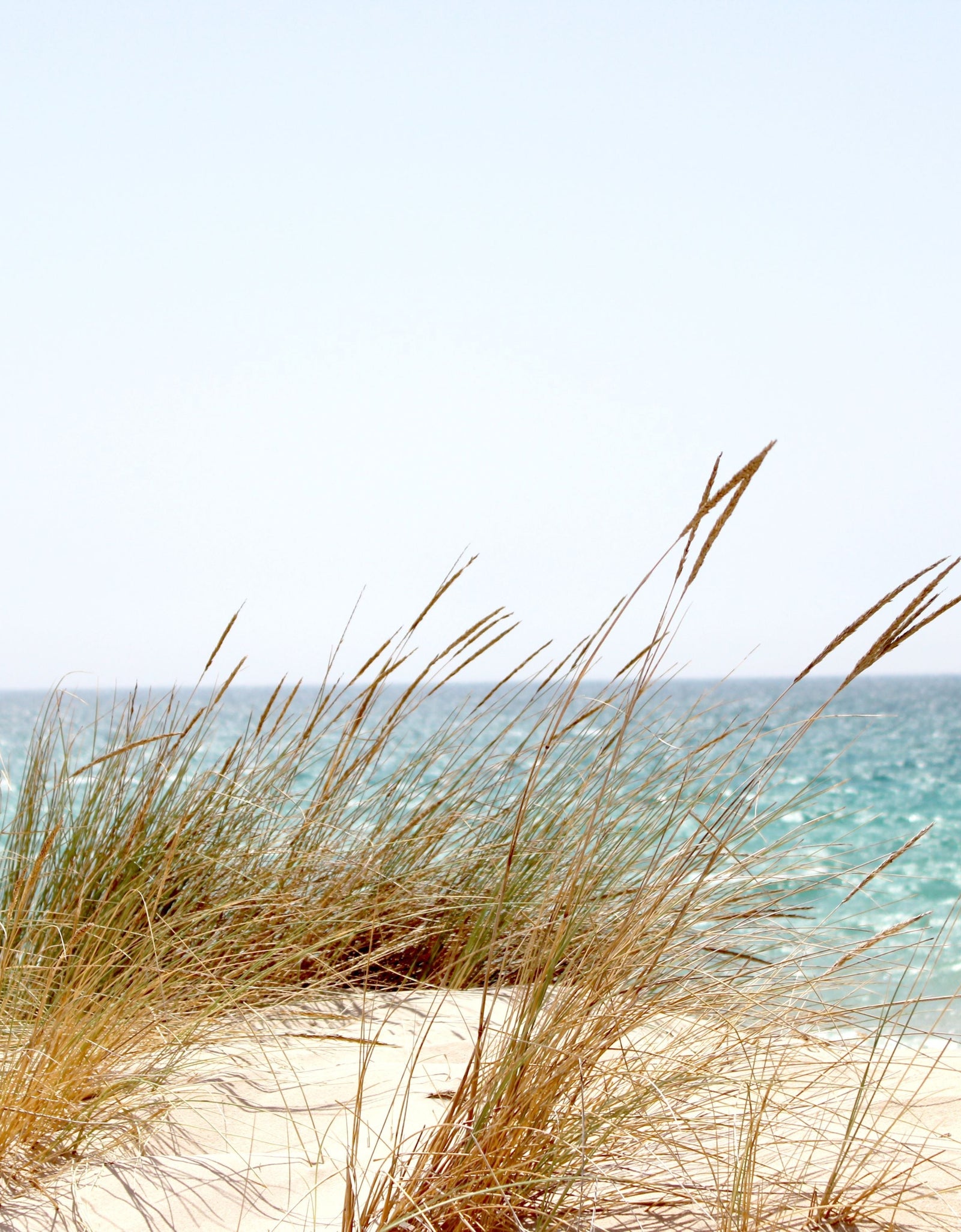 Wood Sage & Sea Salt by Wicked Good Perfume