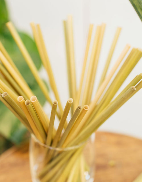 Load image into Gallery viewer, Grass Drinking Straws by EQUO
