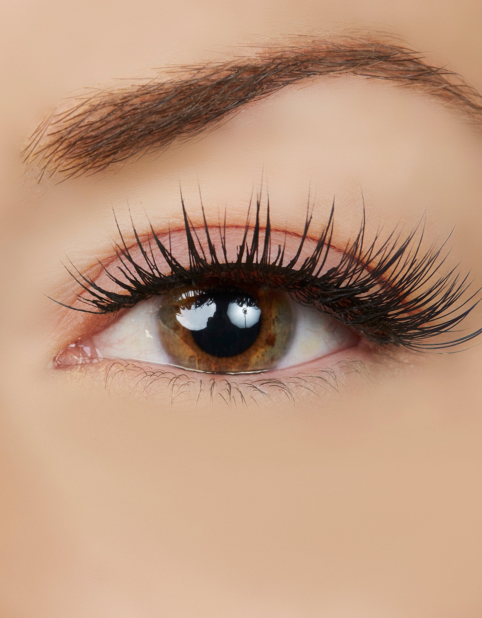 Perfect Vision Lash Style by True Beauty Lashes