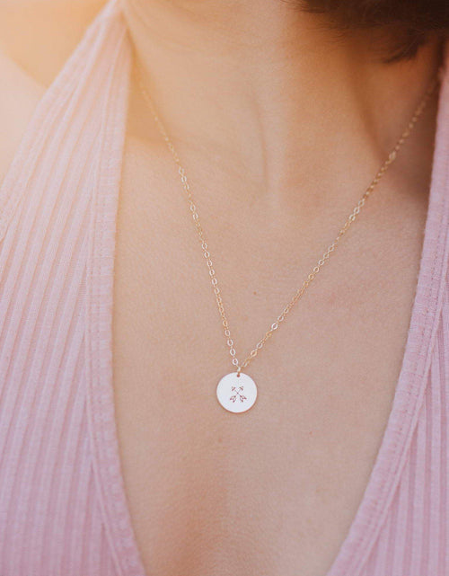 Load image into Gallery viewer, Zodiac Disc Necklace by Salt and Sparkle
