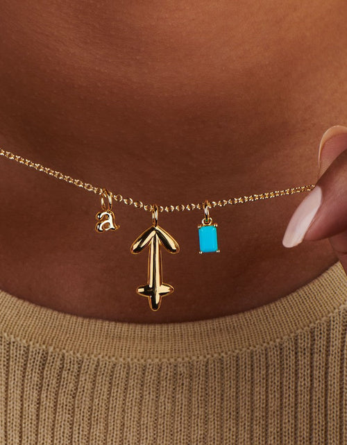 Load image into Gallery viewer, Aries Zodiac Necklace by Little Sky Stone
