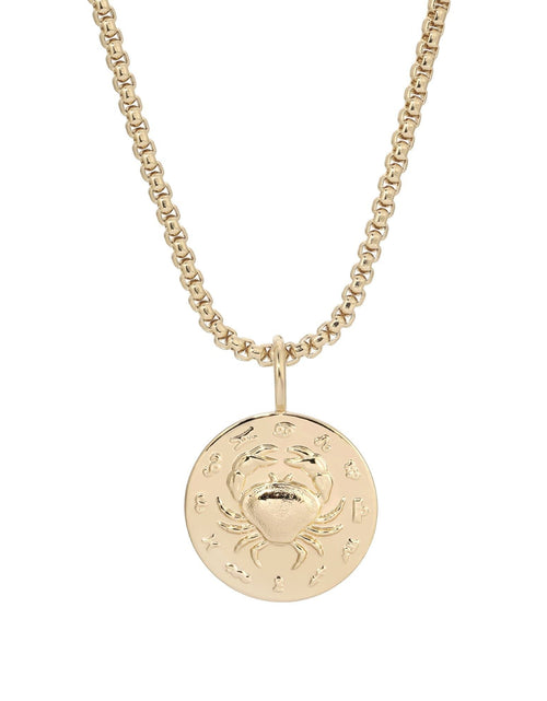 Load image into Gallery viewer, Zodiac Pendant &amp; Thin Box Chain Necklace by eklexic jewelry
