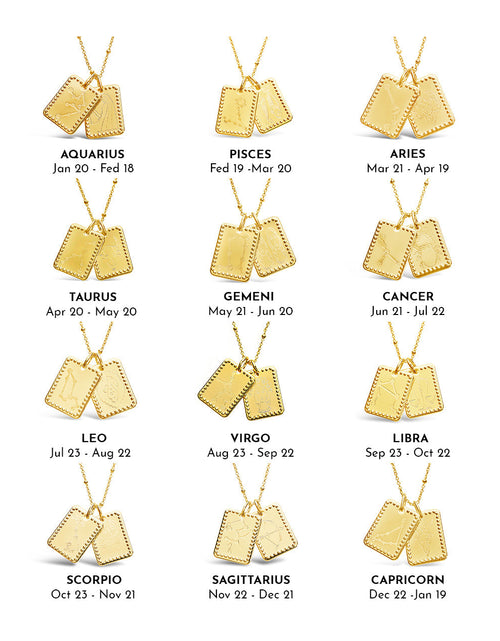 Load image into Gallery viewer, Zodiac Tag Necklace by Sterling Forever

