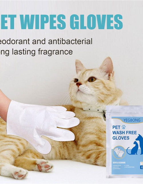 Load image into Gallery viewer, Pet Care Essentials: 6-Pack Of Disposable Non-Woven Gloves For A Clean And Happy Home by Dog Hugs Cat
