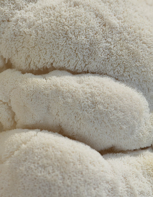 Load image into Gallery viewer, Ahara Mushrooms Lion's Mane Capsules - 10 bottles by Farm2Me
