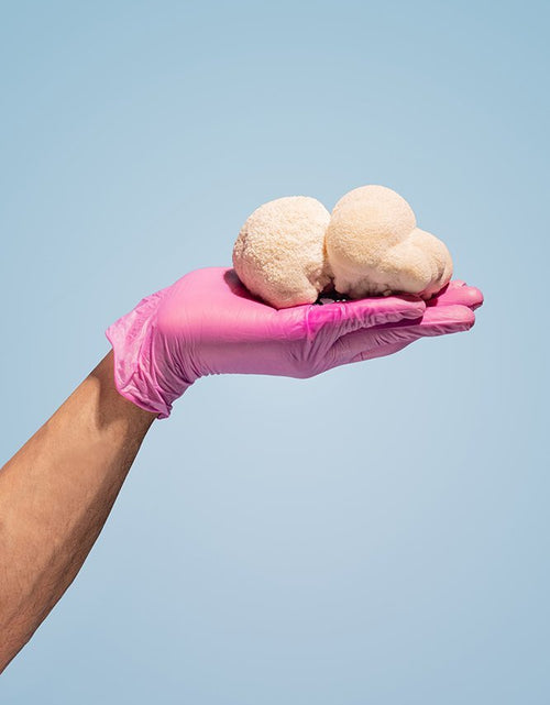 Load image into Gallery viewer, Ahara Mushrooms Lion's Mane Capsules - 10 bottles by Farm2Me
