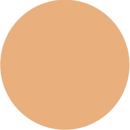 Load image into Gallery viewer, Luxury Oil Blotting Pressed Powder by Color Me Beautiful
