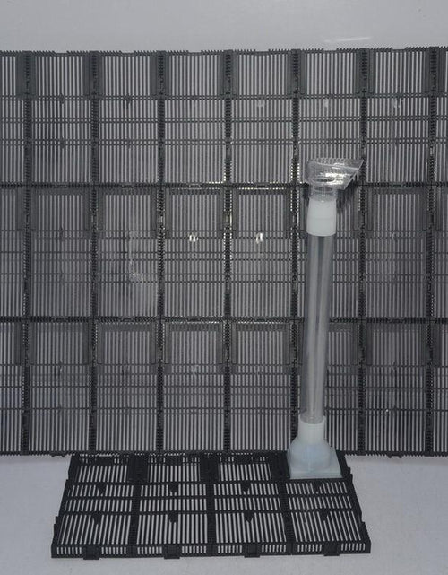 Load image into Gallery viewer, Aquarium Air Belt Filter System - The Ultimate Double Filtration Solution by Dog Hugs Cat
