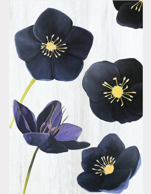 Load image into Gallery viewer, Art Print:  Black Hellebore on Snow by India &amp; Purry
