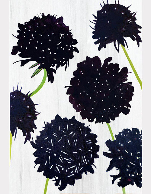 Load image into Gallery viewer, Art Print:  Black Scabiosa on Snow by India &amp; Purry
