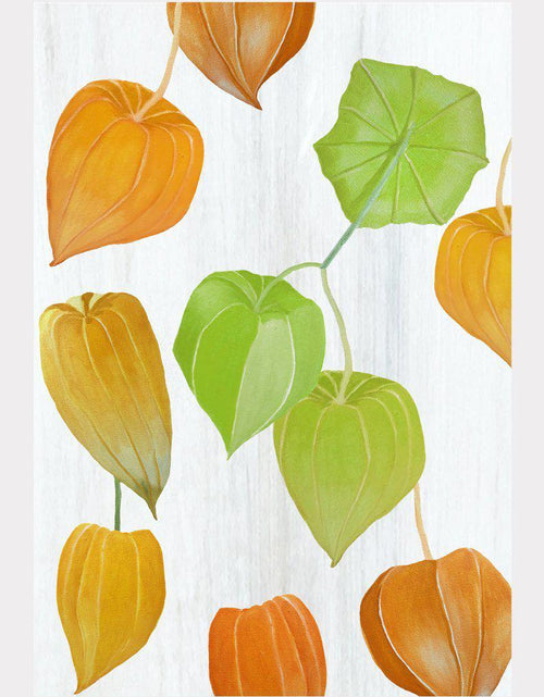 Load image into Gallery viewer, Art Print:  Chinese Lanterns on Snow by India &amp; Purry
