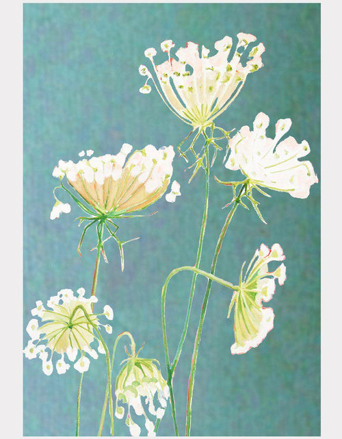 Load image into Gallery viewer, Art Print:  Queen Anne's Lace on Teal by India &amp; Purry

